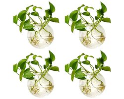 Dailygoods- Wandvaas Handgemaakt - Glazen Wandpot - Terrariumplanten - Wanddecoratie - Set van 4 - Hittebestendig en Makkelijk te Onderhouden - Plantenvaas