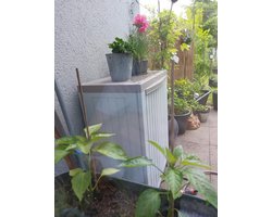 DailySupplies® Tuinkast Kunststof - Tuinkist - Tuinkasten voor Buiten - Tuinberging - Grijs