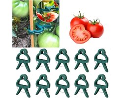 Daity 50 stuks - vaste kunststof plantenklemmen, plantensteunklemmen, herbruikbare tuinklemmen, klimplantenklemmen, transparante plantenklemmen