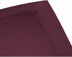Damai - Hoeslaken (tot 25 cm) - Katoen - 140 x 190/200/210 cm - Burgundy
