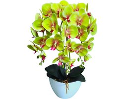 Damich - Kunst Orchidee in Bloempot - groen - gemaakt van rubber - Hoogte +/- 60 cm