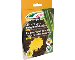 DCM Lijmval 10 stuks voor potgrondvliegjes, varenrouwmuggen, bladluizen, witte vliegen en ander schadelijke insecten bij kamerplanten - Gif en geur vrij
