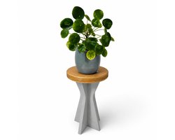 De Bizon – Handgemaakte Plantentafel / Bijzettafel – Grijs – Hoog model