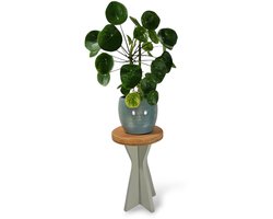 De Bizon – Handgemaakte Plantentafel / Bijzettafel – Lichtgroen – Laag model