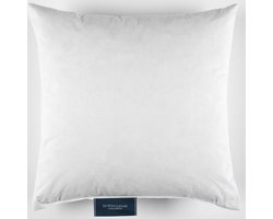 De Witte Lietaer Binnenkussen Dons - 40 x 40 cm - Katoen / Veren
