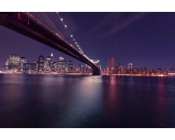 De Zwaan van Rotterdam- Kristal Helder Galerie kwaliteit Plexiglas 5mm.- Blind Aluminium Ophang-frame- Fotokunst- luxe wanddecoratie- Akoestisch en UV Werend- inclusief verzending