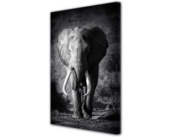 DECLINA fleece afbeelding olifant in zwart en wit 30 x 50 cm - fotodruk dieren op canvas, wanddecoratie - decoratie voor huis, keuken, woonkamer, slaapkamer volwassenen 50x80 cm Zwart en wit.