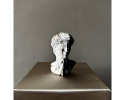Deco Shine - David Beeld - Hoofd Beeld - Zwart / Wit - Sculptuur - Decoratie - Cadeau - Standbeeld - 15 cm