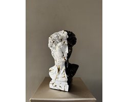 Deco Shine - David Beeld - Hoofd Beeld - Zwart / Wit - Sculptuur - Decoratie - Cadeau - Standbeeld - 30 cm