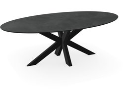 Decor eettafel beton donker - Ovaal - Matrix onderstel - beton tafel