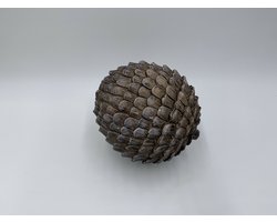 Decoratie beeld dennenappel liggend bruin polyresin 20 x 18 | 76242988 | Home Sweet Home | Stoer & Sober Woonstijl