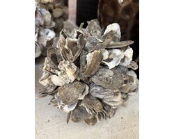 Decoratie Bol | Oesters | Maritiem | Maritieme sfeer | Zee | Strand | Beach | Ibiza | Boho | Woonaccessoire | Woonaccessoires | Interieur | Styling | Lente | Woonkamer | Huiskamer | Lente vibes | Vrolijk | Leuk | Cadeau | Zomeravond | Zomer | Summer
