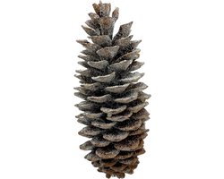 Decoratie dennenappel sneew bruin wit naturel met geur 25 x 12 cm | 312403016 | Home Sweet Home | Stoer & Sober Woonstijl