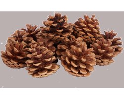 Decoratie-dennenappels