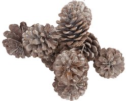 Decoratie Dennenappels - wit - White Wash - 200 gr