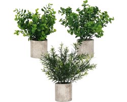 Decoratie - Kleine Faux Plastic Groene Eucalyptus Planten in Potten - Nep Binnen Planten voor Kantoor Huis Keuken Tuin Tafel & Badkamer Douche Versiering