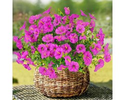 Decoratie met kunstbloemen, boeket van 6 stelen, kunstige moringa, UV-bestendige kunstplanten voor buiten, geschikt voor decoratie in huis, de tuin, op het balkon en onder de veranda