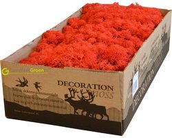 Decoratie Mos, Rendiermos rood 500 gram