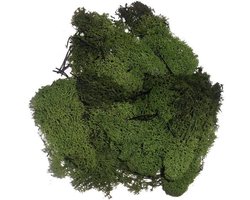 Decoratie nep mos 50 gram - groen - Hobby/knutselen - herfst/kerst thema - opvullen - decoreren - nature