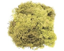 Decoratie nep mos 50 gram - lichtgroen - Hobby/knutselen - herfst/kerst thema - opvullen - decoreren - nature