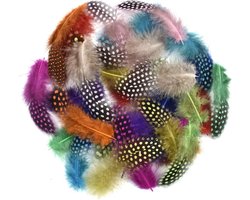 Decoratie | Veren | Multicolour | 50St