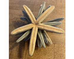 Decoratie Zeesterren 6 stuks | Zeester | Maritiem | Maritieme Sfeer | Zee | Strand | Decoratie | Deco | Decoratief | Woonaccessoires | Woonaccessoire | Beach | Ibiza vibes | Style | Zee Ster | Sterren | Blauw Grijs | Schip | Scheepvaart | Vissen