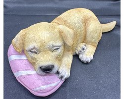 Decoratief beeld "slapende hond op kussen" - polyresin - meerkleurig + roze kussen - hoogte 6 x 16 x 15 cm - Woonaccessoires - Woondecoratie - Decoratieve beelden