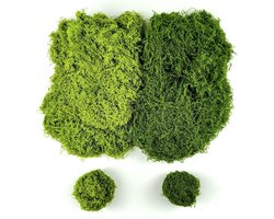 Decoratief Kunstmatig Mos voor Creatieve Projecten - 100g Donker en Lichtgroen, Natuurlijke Look, DIY Decoratie, Tuinaccessoires