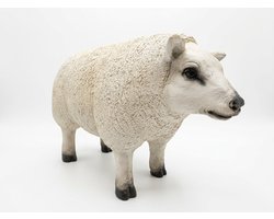 Decoratief Staand Texels Schaap – Realistisch Tuinbeeld & Woondecoratie – Polyester – 48 x 21 x 31 cm