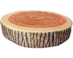 Decoratief Zitkussen - Houten Cirkel Kussen - Comfortabel Ontspannen - Realistische Print - 38x34x8 cm - Ginkgo Print