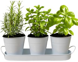Decoratieve bloembak - Metalen pot - Planten opkweken - Intelligent waterbeheer - 3 stuks - Goud