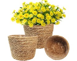 Decoratieve bloempotten van wilgenteen - 3 stuks - met waterdichte bekleding - voor binnen en buiten