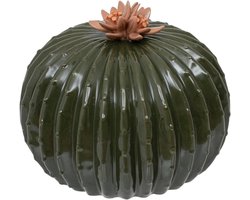 Decoratieve Cactus - Keramiek Plant - Woonkamer Aankleden - Botanisch Thema - H 15 cm - Groen