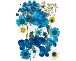 Decoratieve Droogbloemen voor Telefoonhoesjes - Mixed Echte Dried Flowers voor DIY Kunst, Kaarten Maken en Epoxy Resin Creaties in Blauw