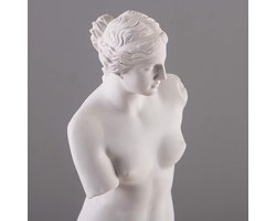 Decoratieve figuren, decoratie woonkamer, standbeeld van Venus, Home Store decoratie, moderne woonkamer ornamenten, polyhars, cadeau