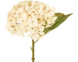 Decoratieve hortensia's kunstcrème zijden bloemen 34cm 2 stuks