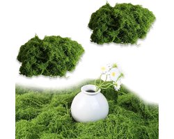 Decoratieve Kunstmatige Mos voor Creatieve Projecten, Lichtgroen, DIY Wanddecoratie, 100g, Natuurlijke Look, Ambachtelijke Materialen, Tuinaccessoires