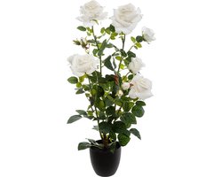 Decoratieve kunstmatige planten rozen fluweel 74 cm - Polyester|Ciment|Polyéthylène PE - Wit - Wit - SILUMEN