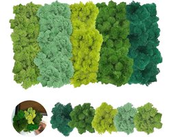 Decoratieve Kunstmos voor Bloempotten, Natuurlijke Gestabiliseerde Mos, 200 g, Perfect voor Huisdecoratie en Tuinaccessoires