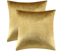 Decoratieve Kussenhoezen Set van 2 - Gouden Fluwelen Kussens voor Sofa