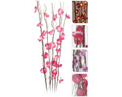 Decoratieve plant