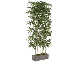 Decoratieve plant Home ESPRIT Hout Bamboe Polyethyleen Orientaals
