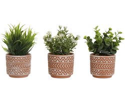 Decoratieve plant Home ESPRIT Polyethyleen Cement 12 x 12 x 17 cm (3 Stuks)
