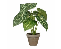 Decoratieve plant Mica Decorations Caladium Ø 21 x 28 cm Kunstmatig