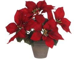 Decoratieve plant Mica Decorations Rood PVC