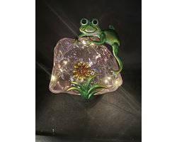 Decoratieve solarlamp "steen met dier" - paars + kikker - 10 LEDs - kunststof en metaal - staand model of op grondspies - hoogte 15 x 14 x 12.5 cm - Tuindecoratie - Tuinverlichting