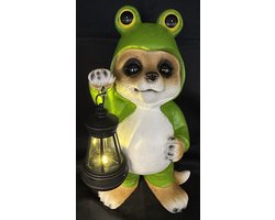 Decoratieve solarlamp "stokstaartje in onesie" - kikker - polyresin - hoogte 23x14x12cm - Tuinaccessoires - Decoratieve beelden voor buiten