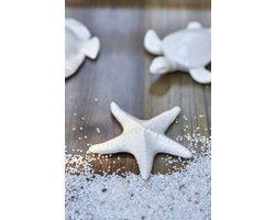 Deep Ocean Decoration Starfish