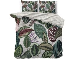 Dekbed-Discounter - Manilla Dekbedovertrek 200 x 200/220 cm - Verkoelend Katoen-Satijn - Dubbele instopstrook - Wassen op 30 graden - Inclusief 2 kussenslopen - Adriana