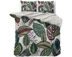 Dekbed-Discounter - Manilla Dekbedovertrek 240 x 200/220 cm - Verkoelend Katoen-Satijn - Dubbele instopstrook - Wassen op 30 graden - Inclusief 2 kussenslopen - Adriana